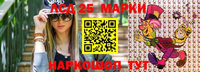 Альфа ПВП Новодвинск