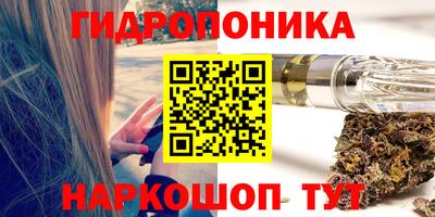 Альфа ПВП Новодвинск